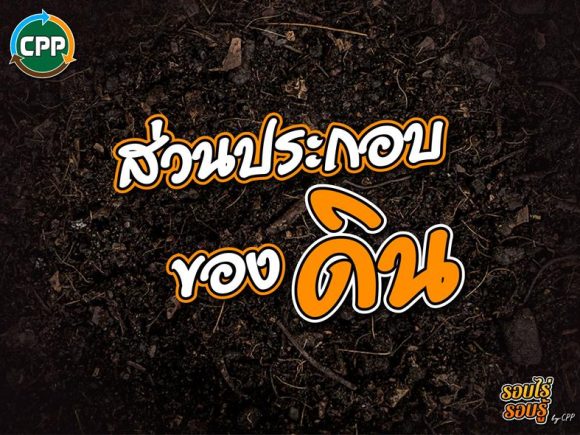 The components of soil