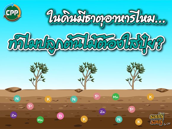 Is there nutrients in the soil… why do we need to fertilize when planting trees?
