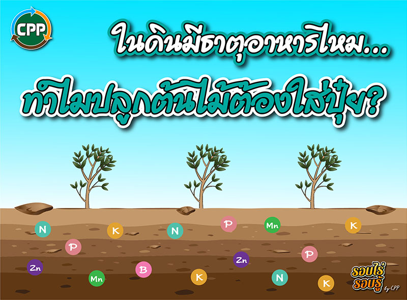 Is there nutrients in the soil… why do we need to fertilize when planting trees?