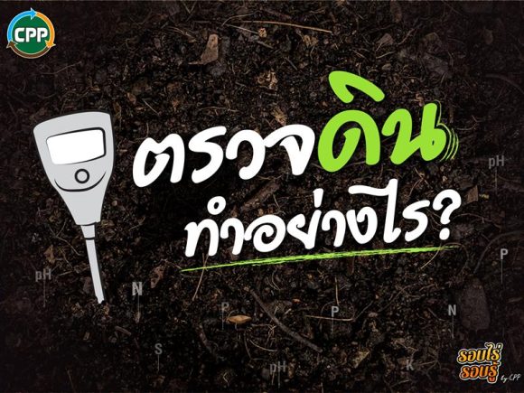 How to test soil?