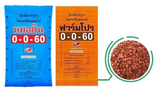 Single-nutrient fertilizer, C.P. Mordin Formula 0-0-60