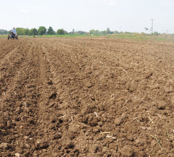 Soil/Plant Nutrients