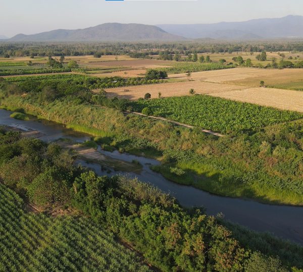 Water/Irrigation
